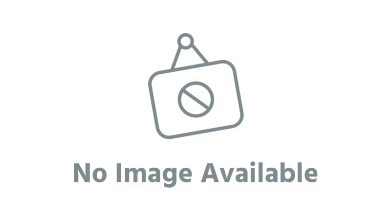 WiseTechSolution internal reports system
