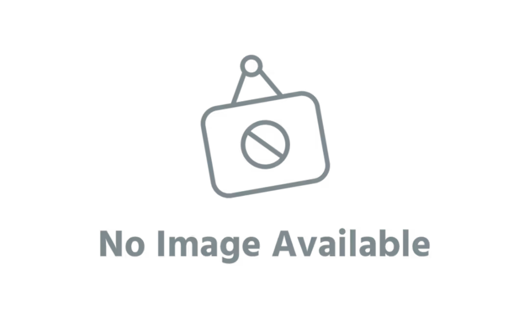 WiseTechSolution internal reports system